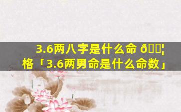 3.6两八字是什么命 🐦 格「3.6两男命是什么命数」